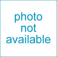 Union, 3/8" NPT, Bronze
