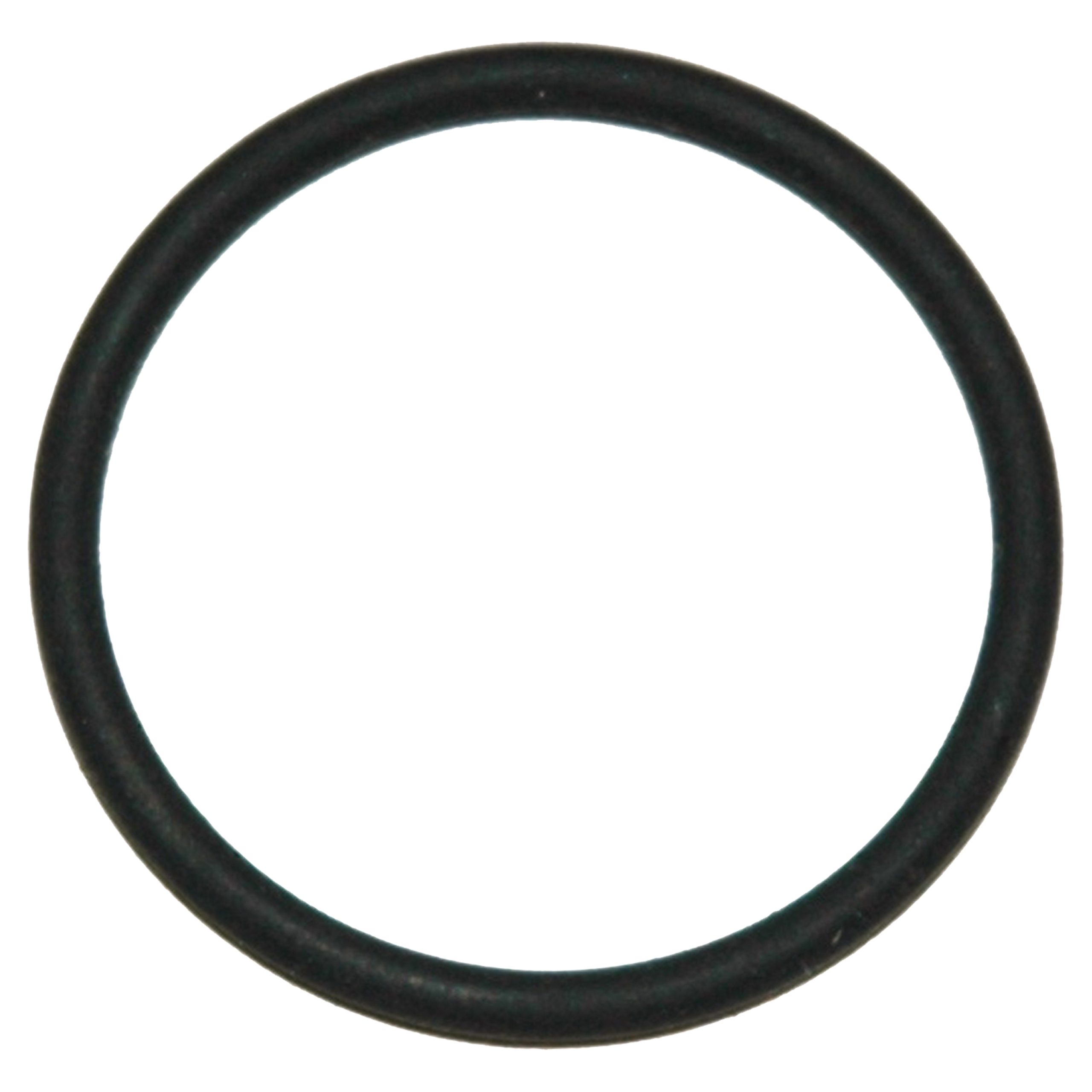 Viton(R) O-Ring for the B15 General-Purpose - Image 1