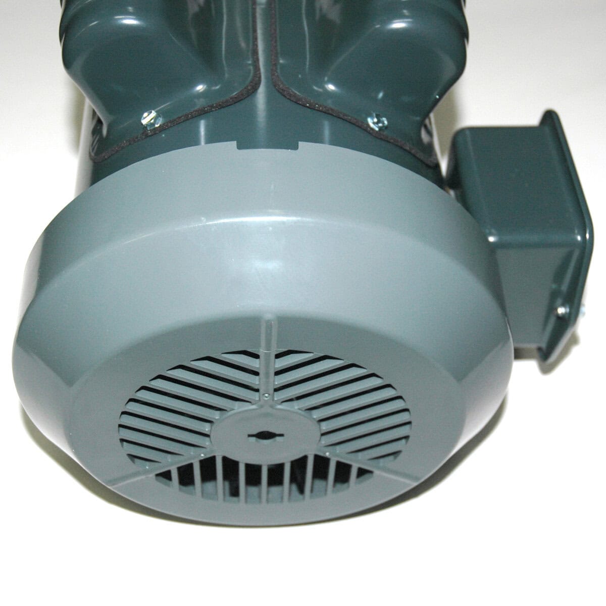 Motor, 1-1/2 hp, Single Phase, TEFC, 56C - Image 2