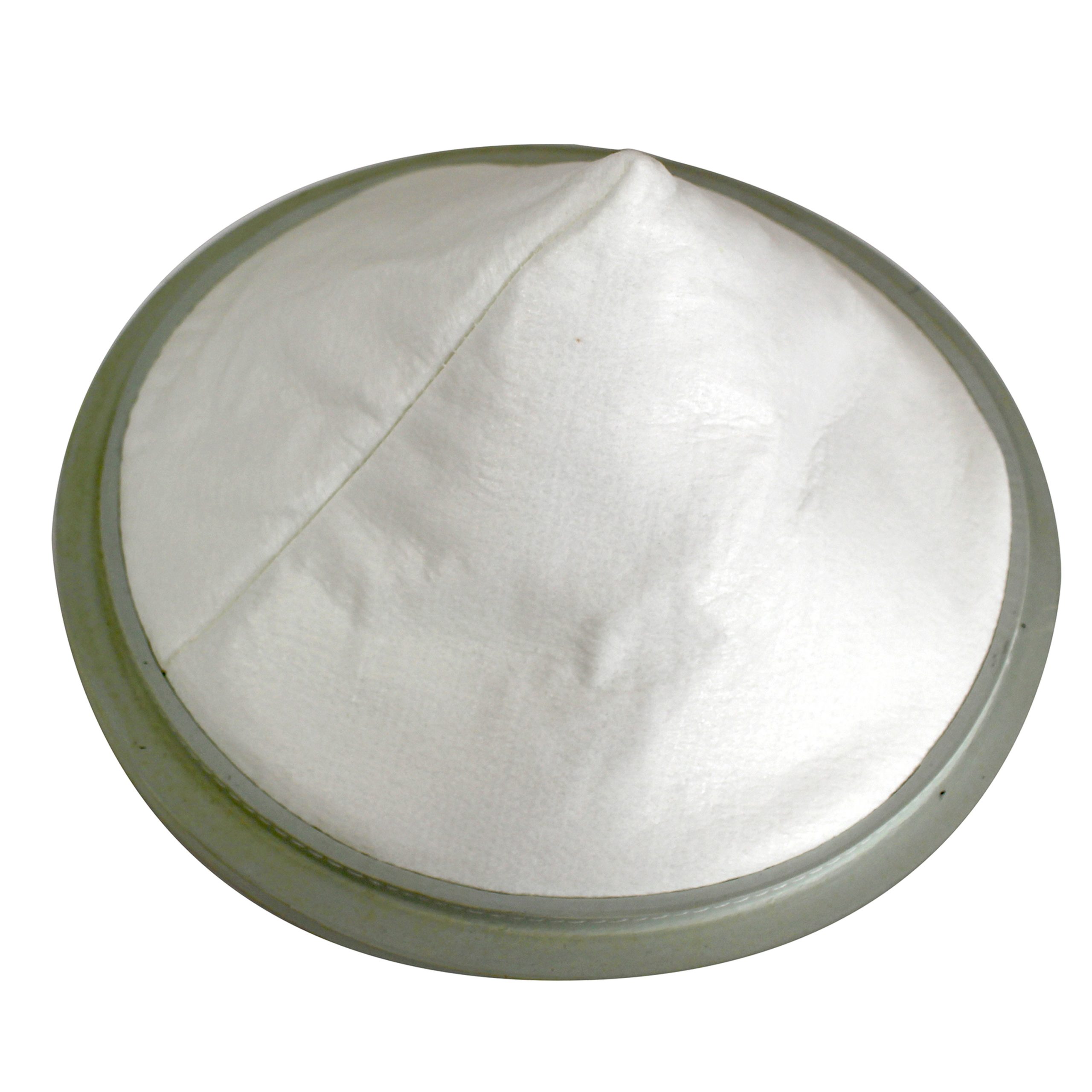 Filter and Gasket, 9" Diameter for Shini Loaders Model SAL-3U & SAL-3UE - Image 1