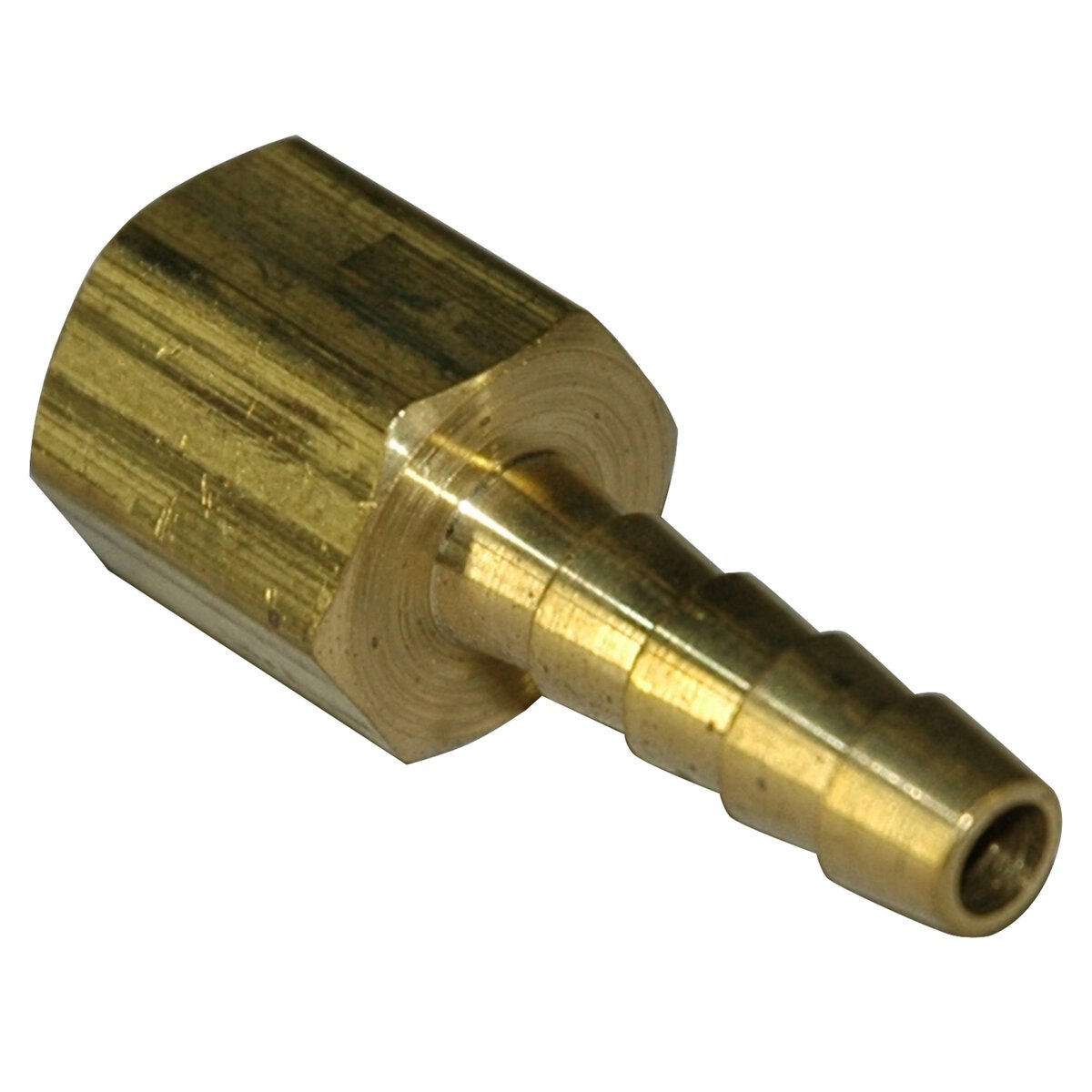 Hose Barb, 1/4" Inside Diameter Hose, 1/4" Female NPT, Straight, Brass - Image 2