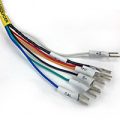 12′ Extension Cable with Mating Connector, 6 Pin