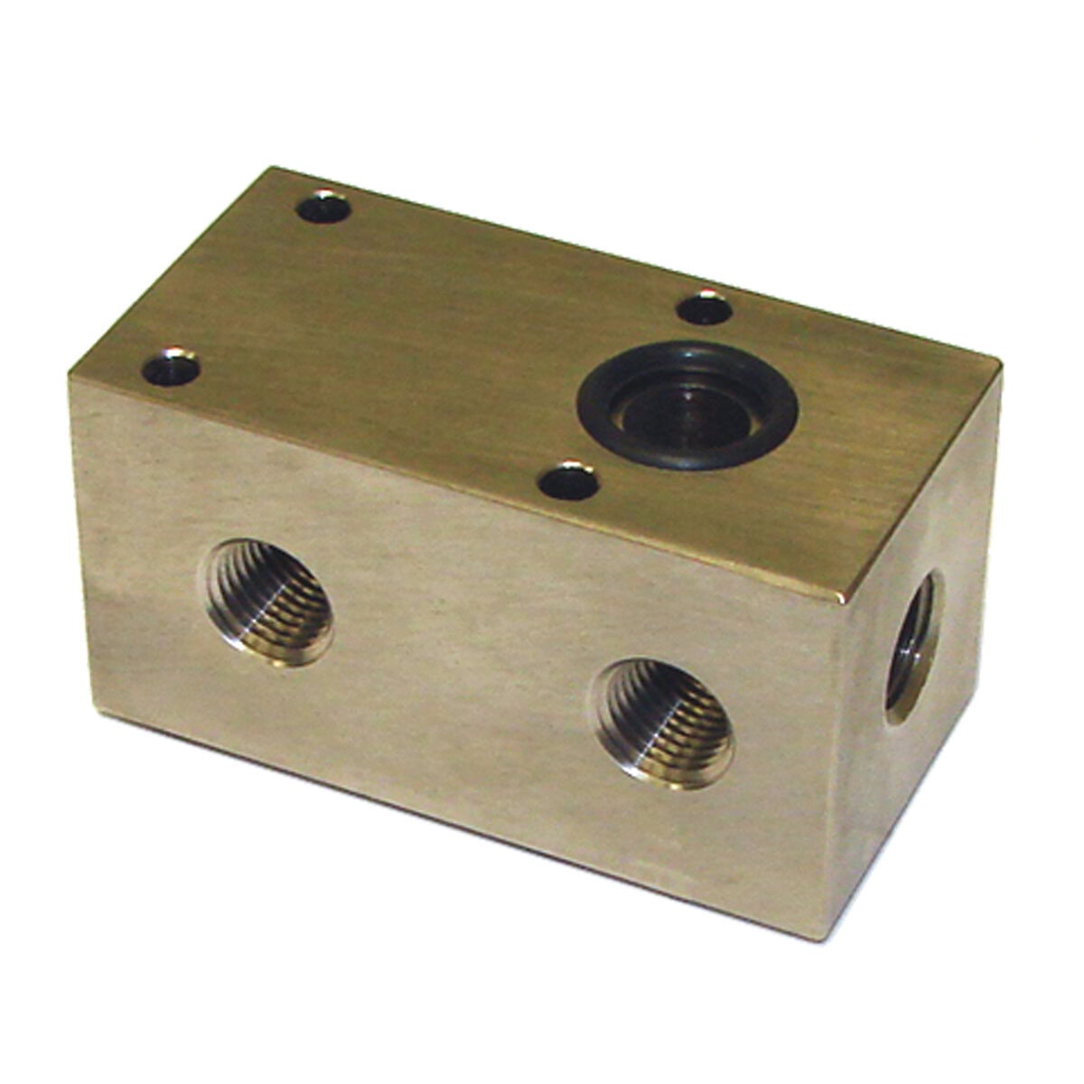 Manifold For Mold Temperature Regulator System, (7) 1/4" NPT Ports - Image 1
